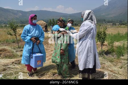 Cachemire, Inde. 5 juin 2021. Un agent de santé inocule la dose du vaccin COVID19 à un agriculteur dans le cadre d'une campagne spéciale de vaccination des agriculteurs. Crédit : CIC de la majorité mondiale/Alamy Live News Banque D'Images