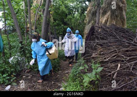 Cachemire, Inde. 5 juin 2021. Les travailleurs de la santé qui arrivent pour une action spéciale pour vacciner les agriculteurs au travail. Crédit : CIC de la majorité mondiale/Alamy Live News Banque D'Images