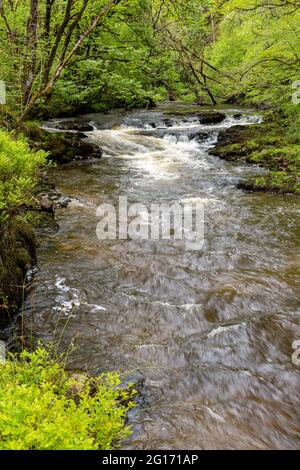 Rivière Nedd Fechan, sud du pays de galles Banque D'Images