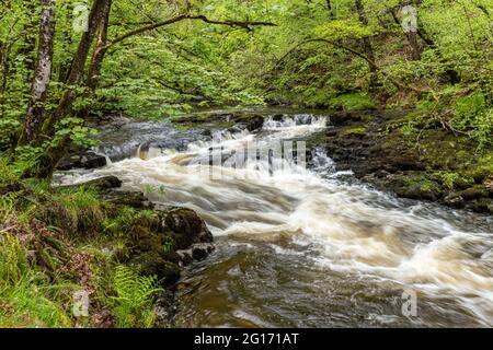 Rivière Nedd Fechan, sud du pays de galles Banque D'Images