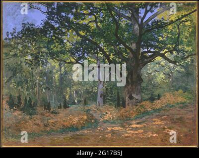 Claude Monet - la forêt de Bodmer Oak Fontainebleau Banque D'Images