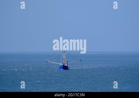 Ameland, pays-Bas-avril 19,2021 : bateau de pêche, filets et mouettes sur la mer des Wadden. Le conflit des pêcheurs s'intensifie : argumentant britannique, français et néerlandais Banque D'Images
