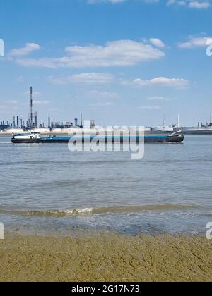 Antwerpen Belgique, navigation terrestre sur le fleuve Schelde à Anvers Belgique. Photo de haute qualité Banque D'Images