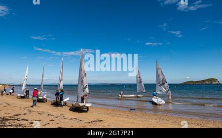 Régate de voile avec dinghies de voile en cours de lancement sur la plage de West Bay, North Berwick, East Lothian, Écosse, Royaume-Uni Banque D'Images