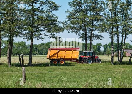 Tracteur avec remorque d'ensilage, herbage frais et route avec arbres . Ferme en arrière-plan et clôture en premier plan. Image néerlandaise avec un Banque D'Images