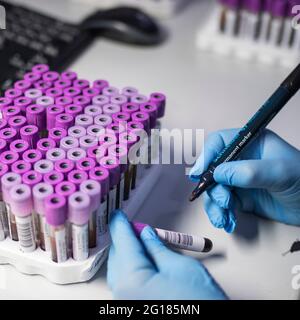 Moscou, Russie - 20, mai 2021, tubes à essai dans le laboratoire où les tests PCR sont effectués pour la détermination du coronavirus Banque D'Images