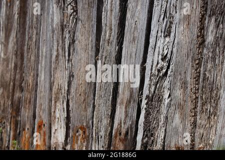 Gros plan sur le mur de retenue de la poutre en bois avec intempéries Banque D'Images
