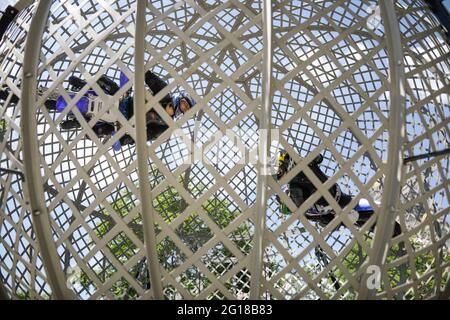 Bucarest, Roumanie - 5 juin 2021 : deux acrobates de cirque sont à bord de leurs motos dans une sphère métallique lors d'un spectacle public. Banque D'Images