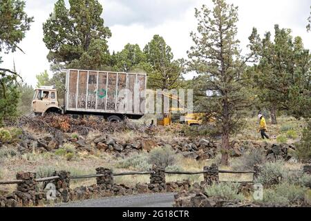 Une entreprise de paysage de Bend, Oregon, utilise un camion à benne et un grand camion de pieu pour enlever les membres morts et les branches d'une rue de quartier. La plupart des li Banque D'Images