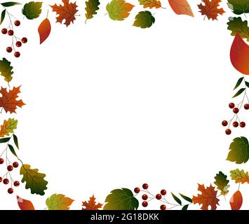 Cadre horizontal. Feuilles d'automne. Illustration vectorielle isolée sur fond blanc. Illustration de Vecteur