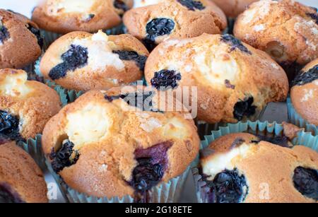 Gros plan des muffins aux myrtilles Banque D'Images
