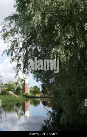 Grand saule vert sur la rive d'une rivière, avec un moulin à vent traditionnel reflété dans l'eau en arrière-plan. Banque D'Images