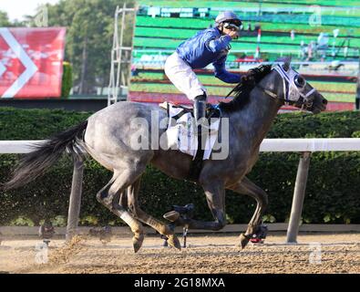 Elmont, États-Unis. 05e juin 2021. Luis Saez à la tête de la qualité essentielle, célèbre après avoir remporté la course des piquets Belmont en 153 au parc Belmont à Elmont, New York, le 5 juin 2021. Photo de Mark Abraham/UPI crédit: UPI/Alay Live News Banque D'Images