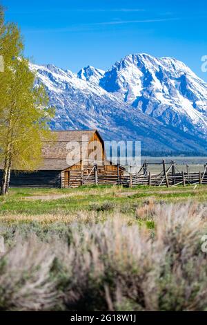 John Molton Barn, dans le district historique de Mormon Row, dans le parc national de Grand Teton, à Wyomin, à la verticale Banque D'Images