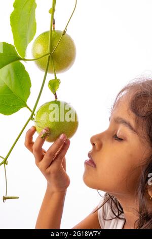 Une jeune fille touchant le fruit frais de la passion verte sur la vigne avec fond blanc, isolé Banque D'Images