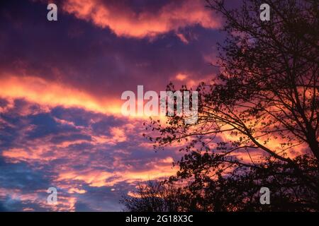 Ciel panoramique spectaculaire et nuageux aux couleurs éclatantes dans une ambiance de vie pleine d'espoir. Aube au printemps avec des nuages spectaculaires. Banque D'Images