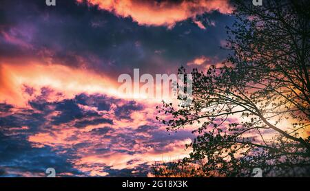 Ciel panoramique spectaculaire et nuageux aux couleurs éclatantes dans une ambiance de vie pleine d'espoir. Aube au printemps avec des nuages spectaculaires. Banque D'Images