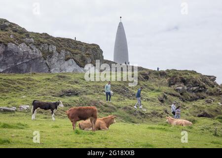 Baltimore, Cork, Irlande. 05e juin 2021. Les touristes se promènent autour des bovins de repos sur le promontoire et les falaises lors d'un week-end de vacances en banque chaud au Beacon à Baltimore, à l'ouest de Cork, en Irlande. - crédit; David Creedon / Alamy Live News Banque D'Images