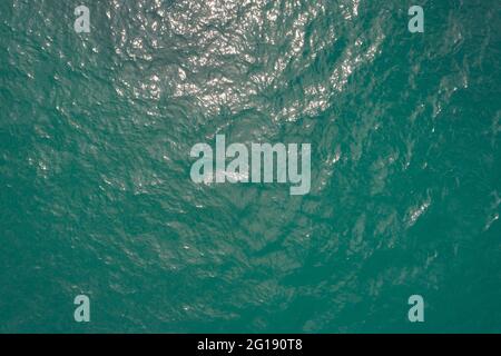 Vue aérienne de la surface de la mer vue de l'œil d'oiseau photo des vagues et de la surface de l'eau texture Turquoise mer fond belle nature mer incroyable vue de dessus Banque D'Images