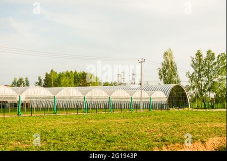 Serres en verre commerciales. Production industrielle de légumes et de fleurs de haute technologie Banque D'Images