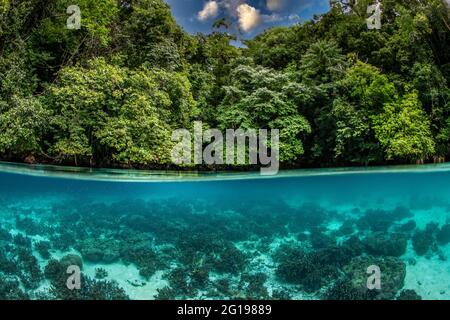 Rock Islands, Risong Bay, Micronésie, Palaos Banque D'Images