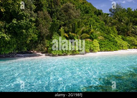La plage bordée de palmiers de Palau, Micronésie, Palau Banque D'Images
