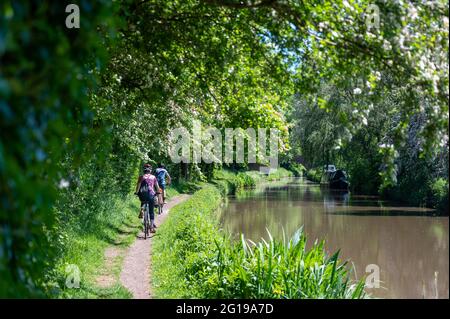 Promenade en vélo en famille à travers la campagne anglaise le long du chemin de halage du canal sous un magnifique soleil, en été. Le temps passe en juin glorieux. Banque D'Images