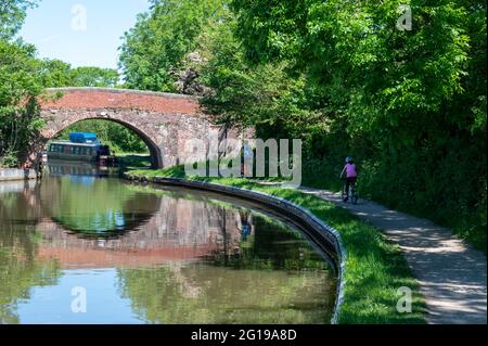 Promenade en vélo en famille à travers la campagne anglaise le long du chemin de halage du canal sous un magnifique soleil, en été. Le temps passe en juin glorieux. Banque D'Images