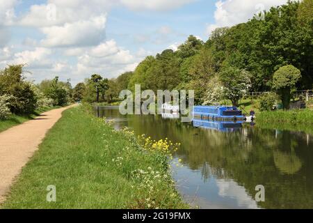 Le canal de navigation Lee, entre les villes de Hertford et Ware, lors d'une journée ensoleillée au début de l'été. Hertfordshire, Angleterre, Royaume-Uni. Banque D'Images