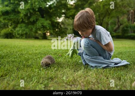 Deux frères garçons regardant le hérisson sauvage sur l'herbe. Banque D'Images