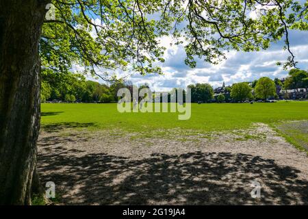 Endcliffe Park en été à Sheffield, dans le Yorkshire du Sud, au nord de l'Angleterre, au Royaume-Uni Banque D'Images