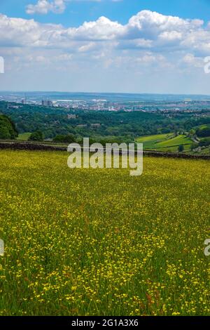 La ville verte de Sheffield, vue de l'ouest, Ringinglow. Yorkshire du Sud, nord de l'Angleterre, Royaume-Uni Banque D'Images