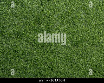 Texture d'herbe artificielle en plastique de cour d'école Banque D'Images
