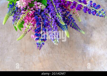 Un bouquet de lupins.Fleurs d'été multicolores rose et violet sur fond gris.Boutons de fleurs de lupin.Fond floral d'été.Copier l'espace.Vue supérieure Banque D'Images