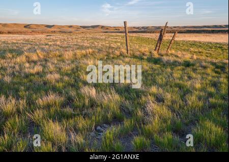 Vue en soirée d'une vieille clôture dans le parc national des Prairies, Saskatchewan, Canada Banque D'Images