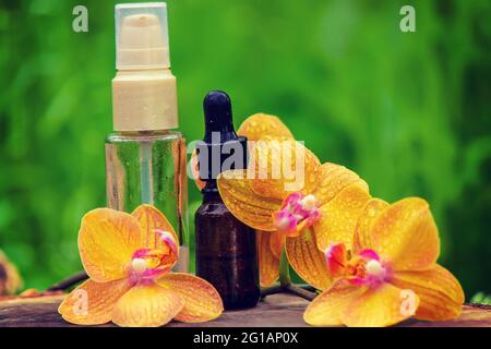 Bouteilles avec des huiles essentielles et orchidée à Minsk sur fond de bois. Parfum naturel. Mise au point sélective Banque D'Images
