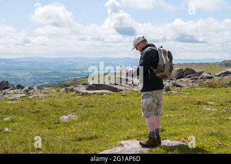 Parc national de Dartmoor, Devon, Royaume-Uni. 6 juin 2021. Météo au Royaume-Uni : des sorts chauds et ensoleillés à Dartmoor. Un marcheur vérifie sa carte près de Great Staple Tor. Credit: Celia McMahon/Alamy Live News Banque D'Images