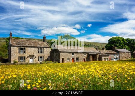 Paysages du Royaume-Uni : vue imprenable sur une coupe de beurre et un pré de fleurs sauvages jusqu'aux vieilles maisons en pierre dans le village de Litton à Littondale, Yorkshire Dales Nationa Banque D'Images