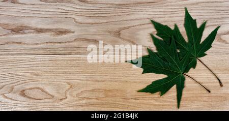 Feuilles de chêne vert sur des planches de bois de chêne rouge américain massif pour le fond de concept industriel Banque D'Images