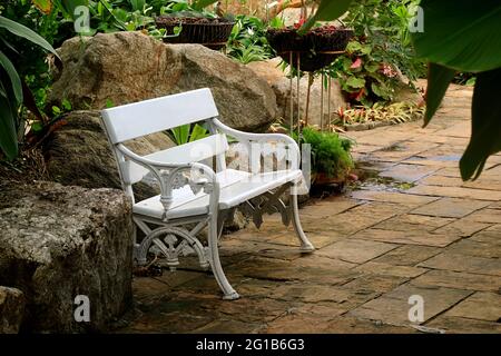 Banc blanc vide vintage dans un jardin tropical Banque D'Images