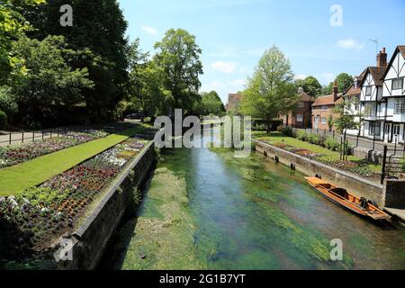 Vue sur la rivière Great Stour et Westgate Grove depuis le pont de West Gate Tower, Canterbury, Kent, Angleterre, Royaume-Uni Banque D'Images