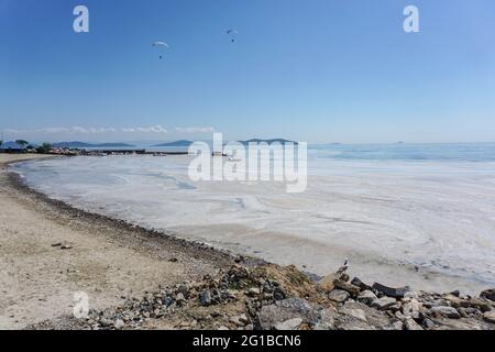 Istanbul, Turquie. 06e juin 2021. Paramoteurs vus volant au-dessus de la mer polluée.Mer de Marmara couverte par la mer de Snot à Istanbul, Turquie. En raison du chauffage global, la couverture de la substance semblable au mucus augmente jour après jour et menace l'environnement et l'industrie de la pêche. La principale raison de la croissance de la mer de Snot est la température de l'eau dans la mer de Marmara qui a été mesurée à 2.5 degrés au-dessus de la moyenne des 40 dernières années. Crédit : SOPA Images Limited/Alamy Live News Banque D'Images