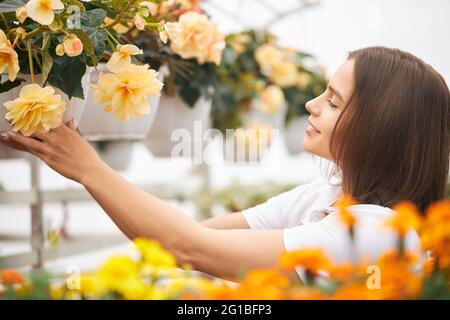 Vue latérale d'un fleuriste femelle positif en tablier beige vérifiant et contrôlant la croissance des plantes dans les pots. Jeune femme travaillant avec différentes fleurs en serre. Banque D'Images