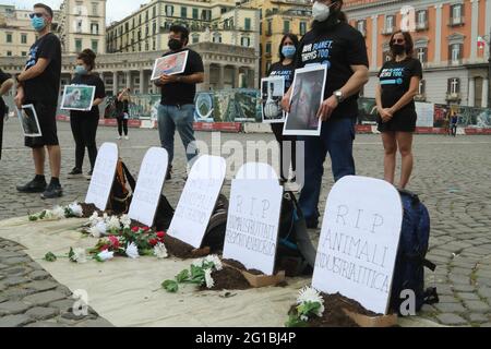 Naples, Italie. 06e juin 2021. L'événement international de la Journée nationale des droits des animaux (NARD) pour commémorer la vie des animaux victimes du système des esclaves. (Photo de Salvatore Esposito/Pacific Press) crédit: Pacific Press Media production Corp./Alay Live News Banque D'Images