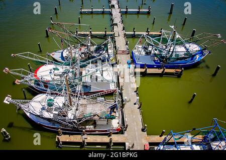 Une vue aérienne montre des bateaux à crevettes amarrés dans le port Biloxi Small Craft Harbour, le 30 mai 2021, à Biloxi, Mississippi. Banque D'Images