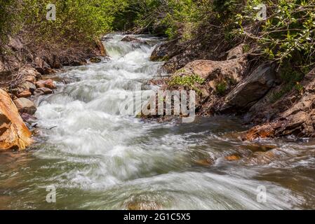 Pittoresque Big Cottonwood Creek dans les montagnes Wasatch près de Salt Lake City, Utah Banque D'Images