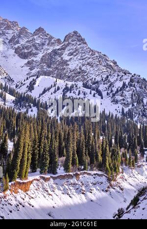 Le lit d'une rivière de montagne gelée au milieu d'une forêt d'épicéa sur le fond d'un sommet rocheux de montagne en hiver Banque D'Images