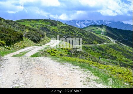 Une piste plate de randonnée en terre entourée de pâturages verts sur le plateau de l'Alpe di Mera à Valsemia, Piémont, Italie en été Banque D'Images