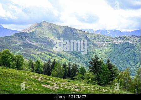 Pâturages verts sur le plateau de l'Alpe di Mera à Valsemia, Piémont, Italie en été Banque D'Images