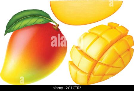 Ensemble de mangue mûre isolée sur fond blanc. Illustration vectorielle au réalisme photographique. Illustration de Vecteur
